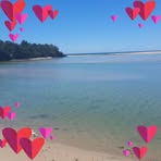 Ellen Bishop - Facebook