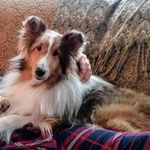 Ellen Blasi Realtor - @ellen.blasi - Instagram