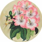 Ellen Bloom - @ellenbloomdesign - Instagram