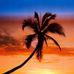 Ellen Bloom - Facebook