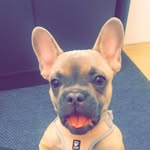 Ellen Bluefawn - @ellenbluefawn - Instagram