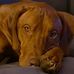 Ellen Blaustein - Facebook