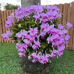 Maria Elena Blustein - @mebo16 - Instagram