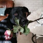 Ellen Beard Bode - @ellen_bode - Instagram