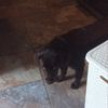 ellie.bosworth - @ellie.bosworth - TikTok