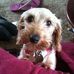 Ellen Bowman - Facebook