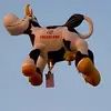 ellenboyd13 - @ellenboyd13 - TikTok