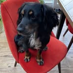 Ellen Bradbury - Facebook