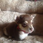ellenbrannon - @ellenbrannon8644 - Instagram