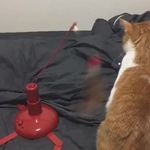 Joellen - @joellenbrannon - Instagram