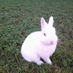 Ellen Braun - @momadukeluv - Instagram