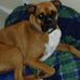 Ellen Reynolds Brigham - Facebook