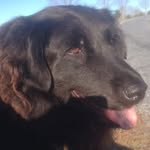 Ellen Grindell Brill - @ellenbrill - Instagram