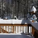 Ellen Britton - @ebritton65 - Instagram