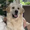ellenbrock26 - @ellenbrock26 - TikTok