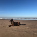 Ellen Brouwer - @eljane95 - Instagram