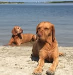 Ellen Brouwer - Facebook