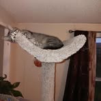 Ellen Brown - Facebook