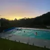 Ellen Brown - @ellen.brown415 - TikTok