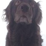 Ellen Browning - @ellenbryanbrowning - Instagram