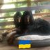 Ellen Bruck - Facebook