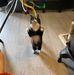 Ellen Buckley - Facebook
