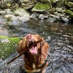 Ellen Bukowski - @ellen.bukowski - Instagram