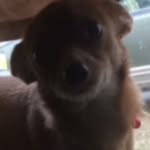 Ellen Buxton - @ellen_is_freindly - Instagram
