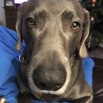 Ellen Callahan - @mommaca__ - Instagram