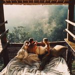 Ellen Callahan - @ellencallahan29 - Instagram