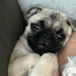 Riley Ellen Callahan - @rileyellencallahan - Instagram