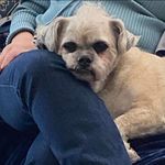 Ellen Sue Gurien Calma - @webbles9 - Instagram