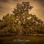 Ellen Case - @ellen.case.12 - Instagram