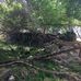Glen Ellen Castle Ruins - Facebook