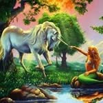 Ellen Chapman - @smellen2006 - Instagram