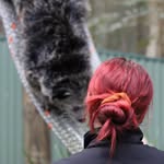 ELLEN - @ellencheney - Instagram