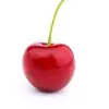 Ellen Cherry Charles - @ellencherrycharles - TikTok