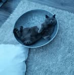 Ellen Clausen - Facebook