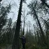 Ellen - @ellenclausen105 - TikTok