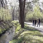 Ellen Cleven-Dinghs - Facebook