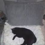 @ellenclevenger54 - Instagram