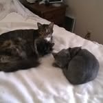 Ellen Cobb - @elcobb4 - Instagram