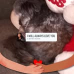 Ellen Cobb - Facebook