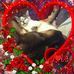 Ellen Coffey - Facebook