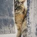 Ellen Conroy - Facebook