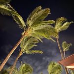 Ellen Conroy Hall - @eehall1 - Instagram