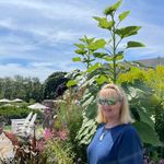 Kathleen Ellen Conroy - @katmacf44 - Instagram