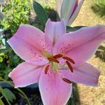 Mary Ellen Hess Cosgrove - @mary.e.hess.5 - Instagram