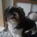Ellen Coyne - Facebook