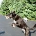 Ellen J. Coyne - Facebook